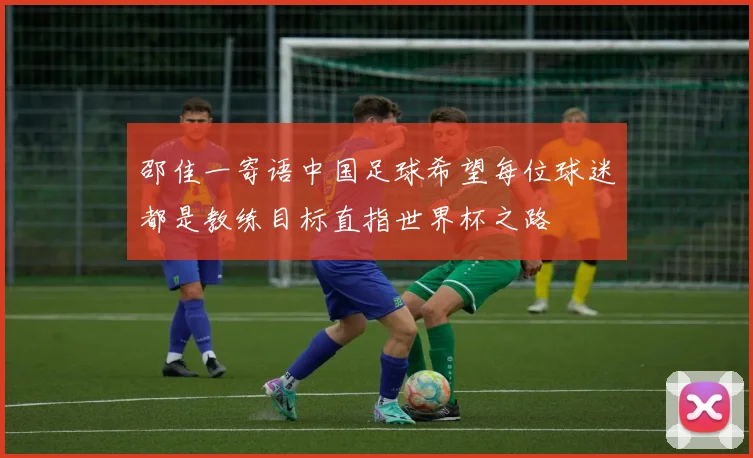 邵佳一寄语中国足球希望每位球迷都是教练目标直指世界杯之路