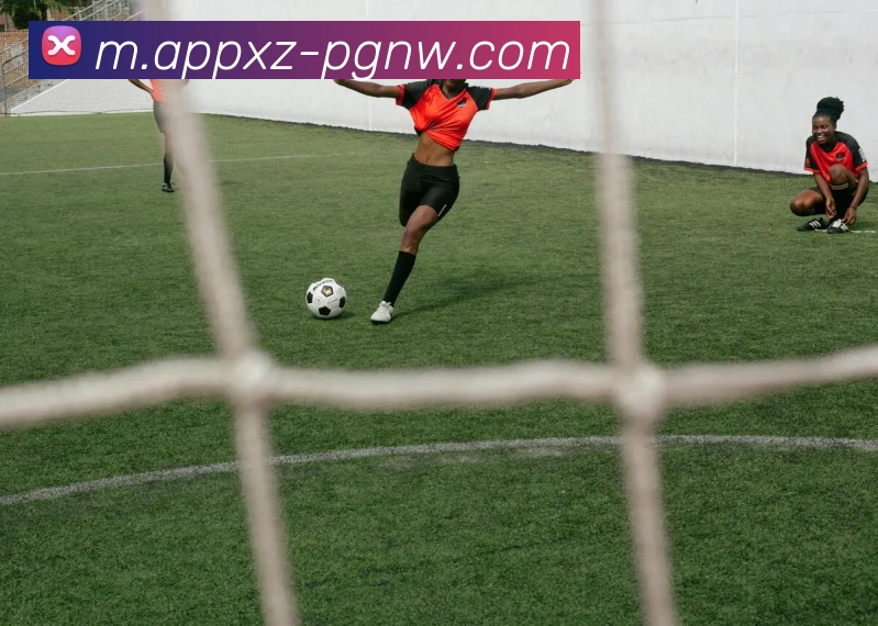 PG电子赏金女王平台生态图