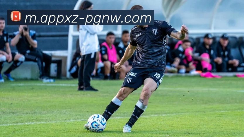 数据防护可视化